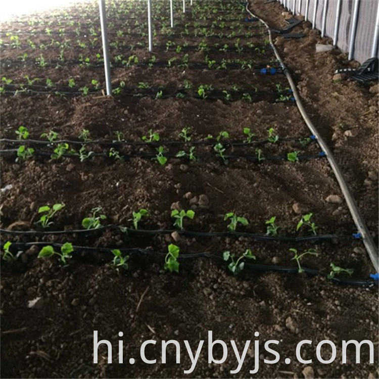 Drip Irrigation 97